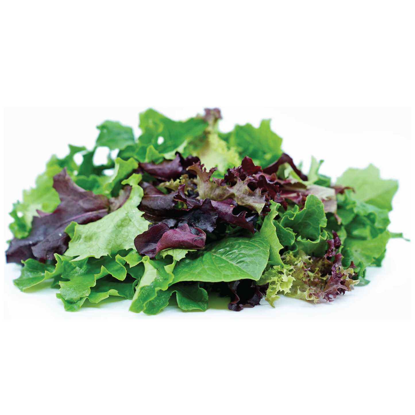 Organic Salad - Superfood Mix 120g Punnet