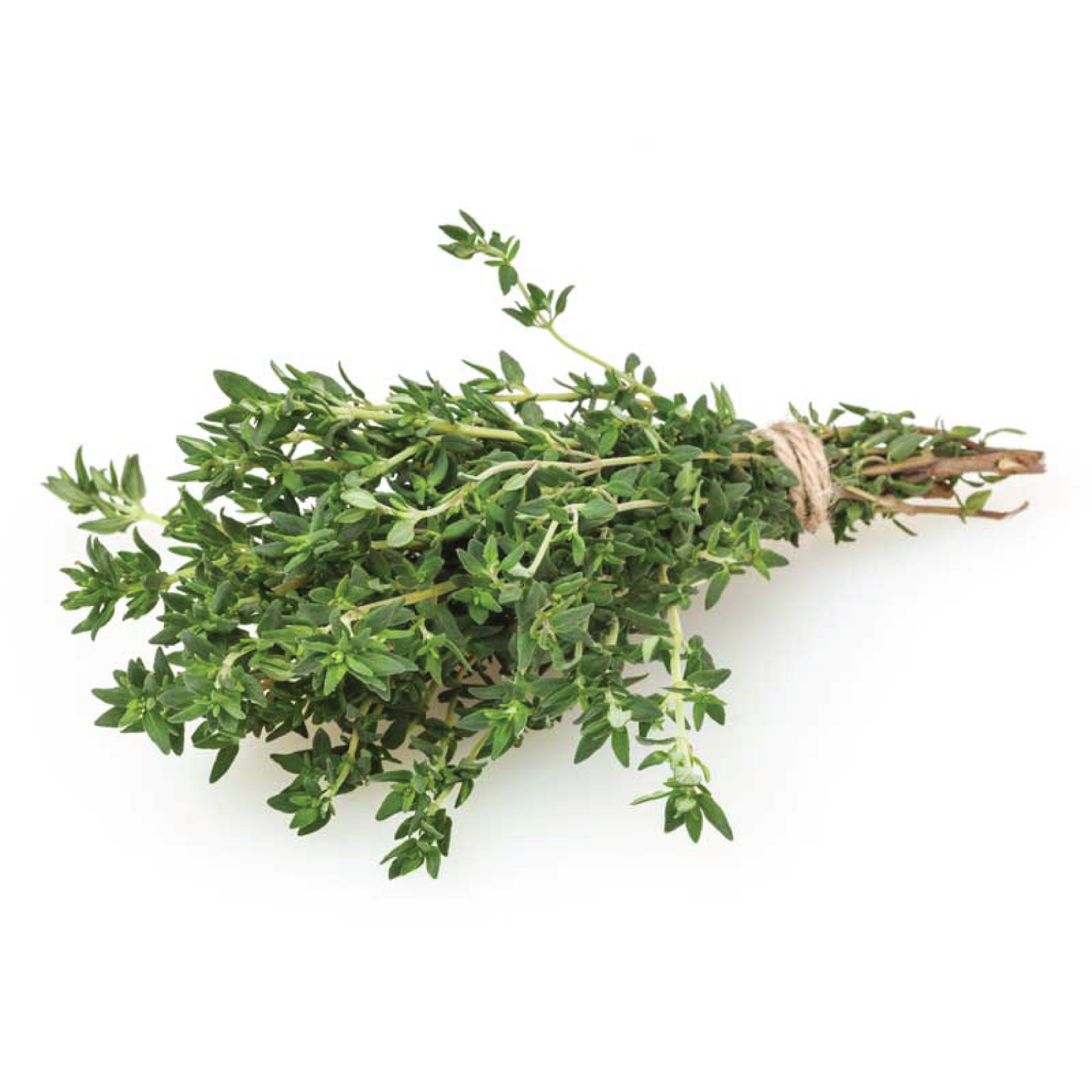 Organic Thyme Bunch