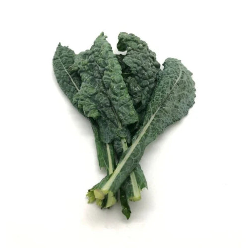 A bunch of Tuscan Kale on a white background