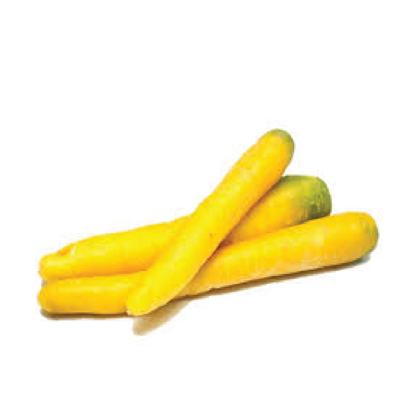 Organic Carrot Yellow