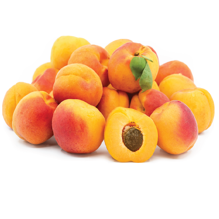 Organic Apricot