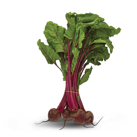 Organic Beetroot Bunch