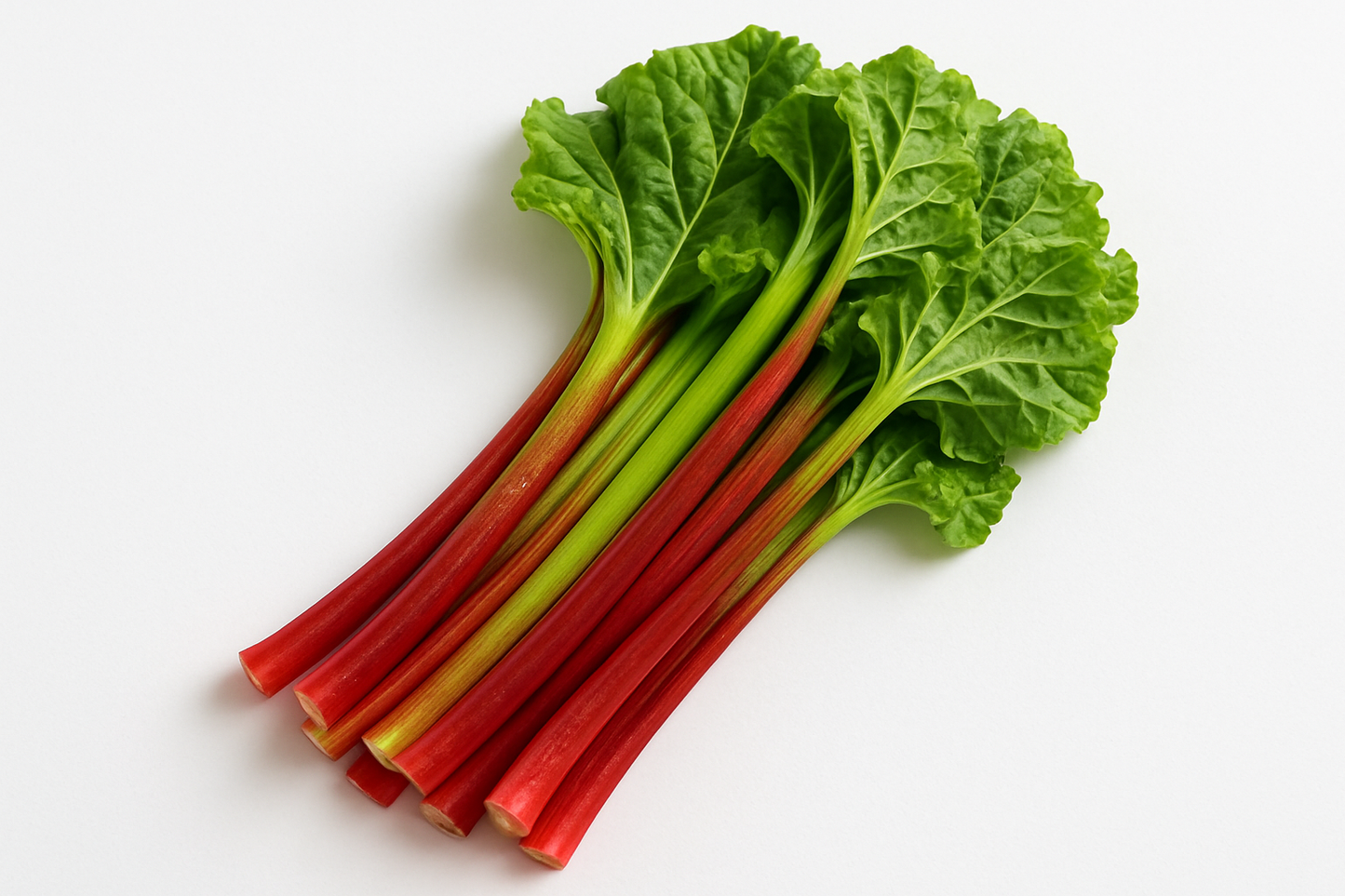 Bunch of Rhubard with a white background make it 400x400px