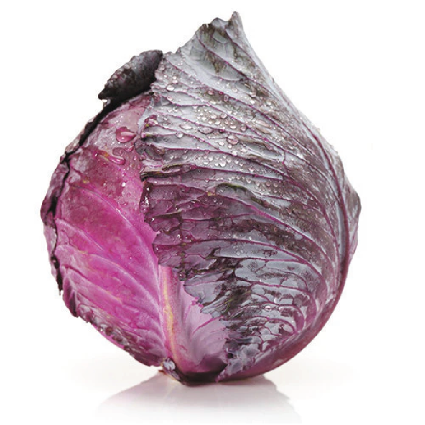 Organic Cabbage Red