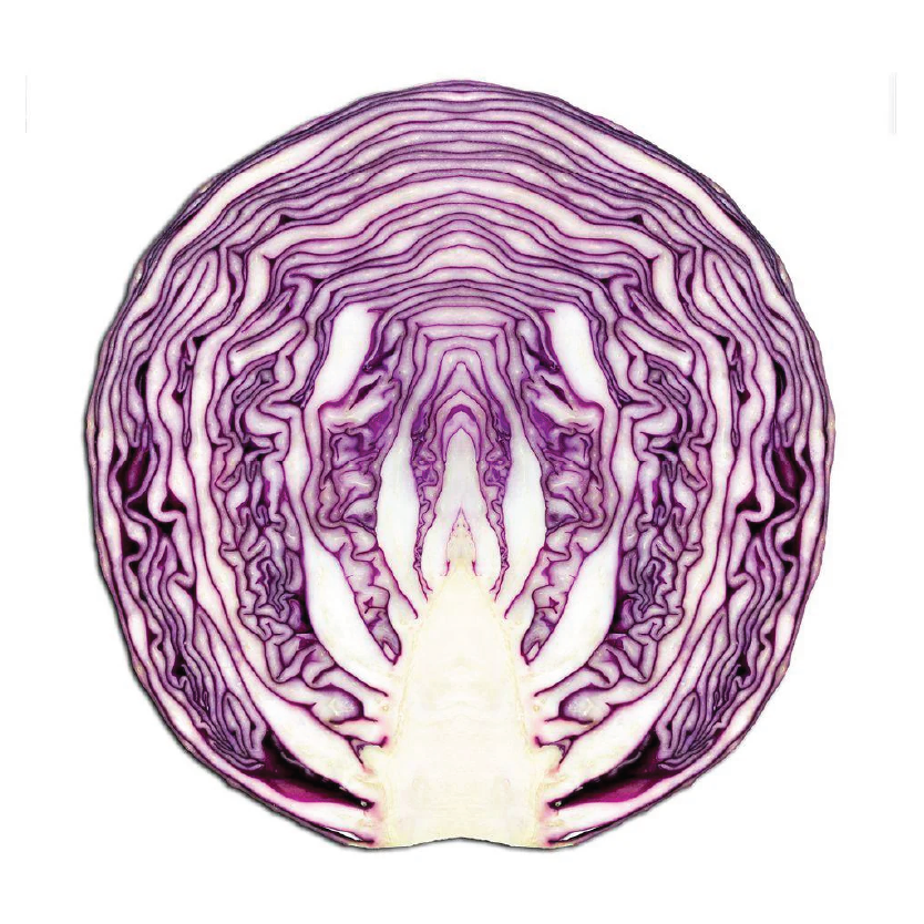 Cabbage Red Half