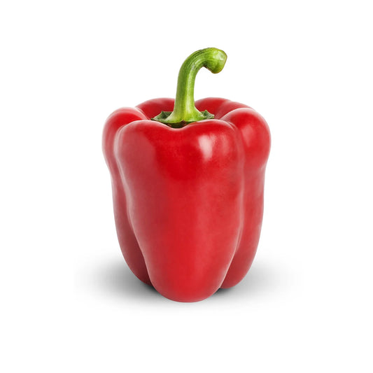 Organic Capsicum Red Each