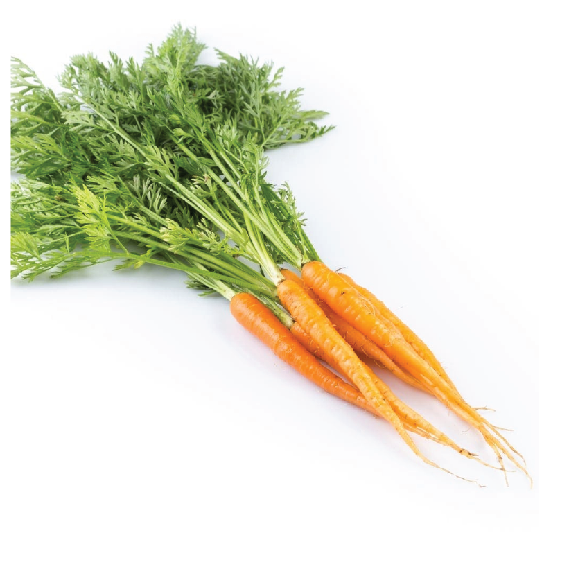Organic Baby Carrot Bunch