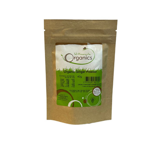 Spice Ginger Powder 40g