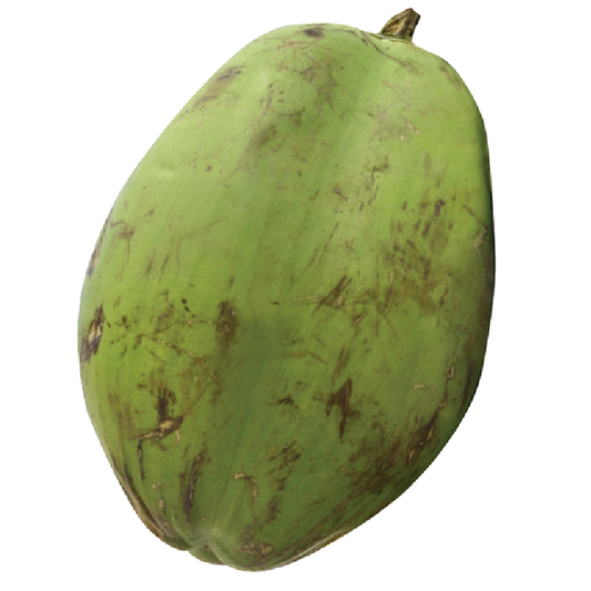 Coconut Young Each