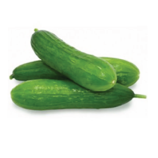 Organic Cucumber Lebanese