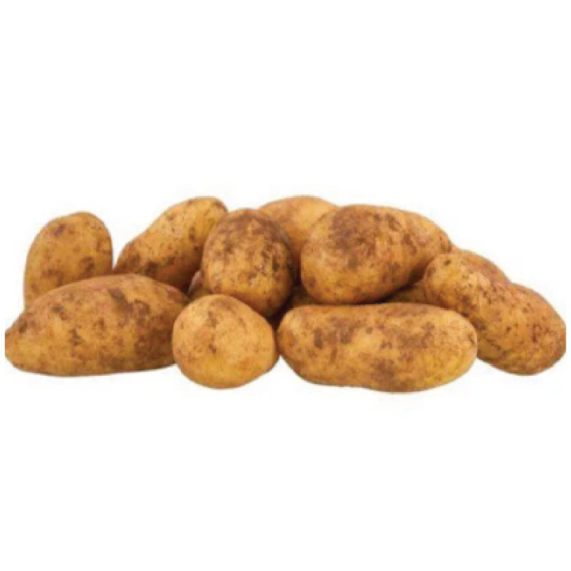 Organic Potato - Dutch Cream