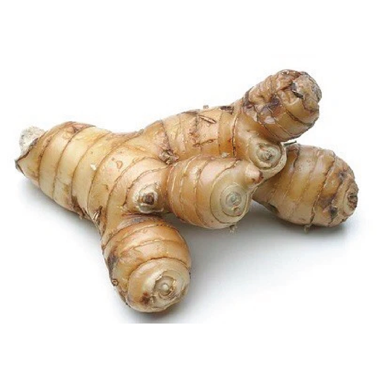 Organic Galangal