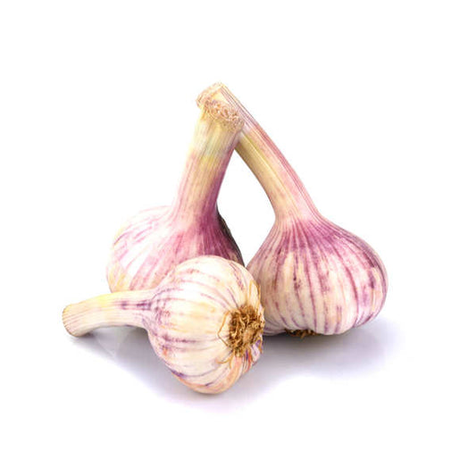 Organic Garlic Purple/White "Italian"