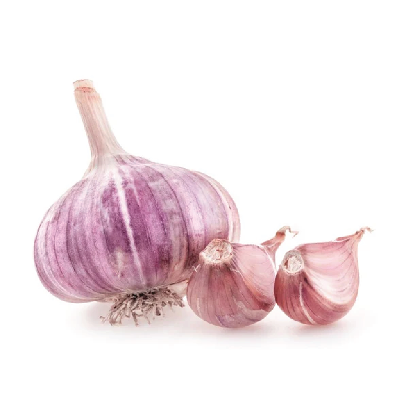Organic Garlic Purple/White "Italian"