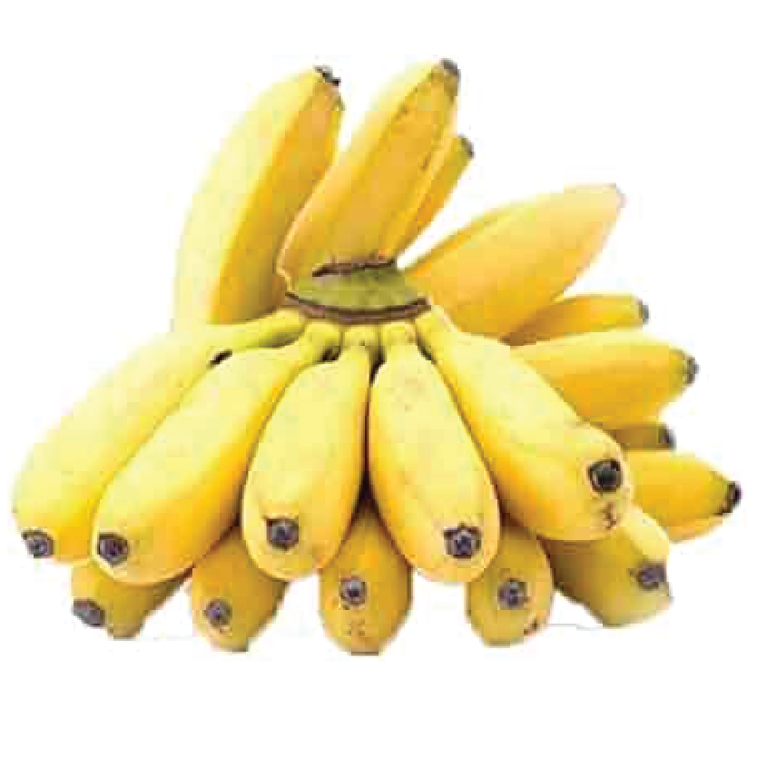 Organic Banana Lady Finger