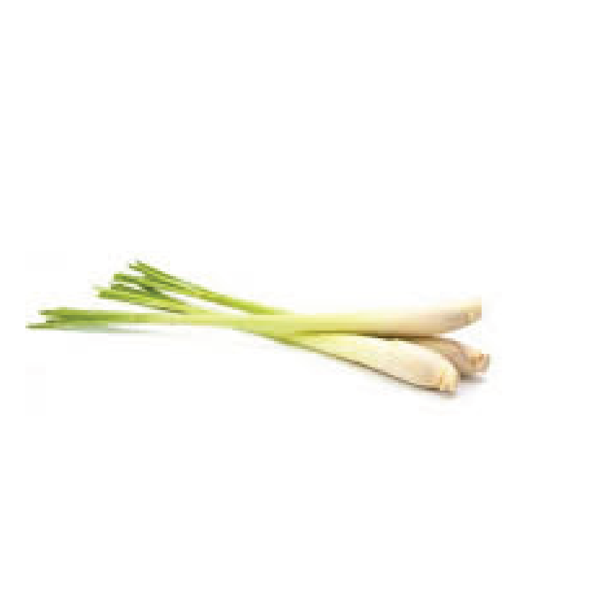 Organic Lemongrass Bunch