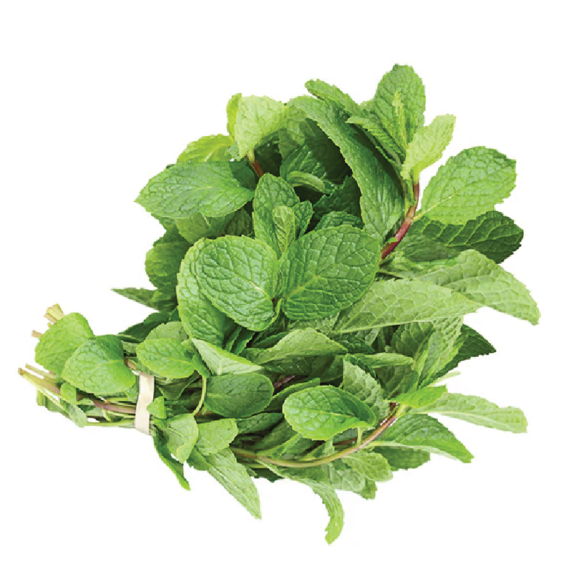 Organic Mint Bunch
