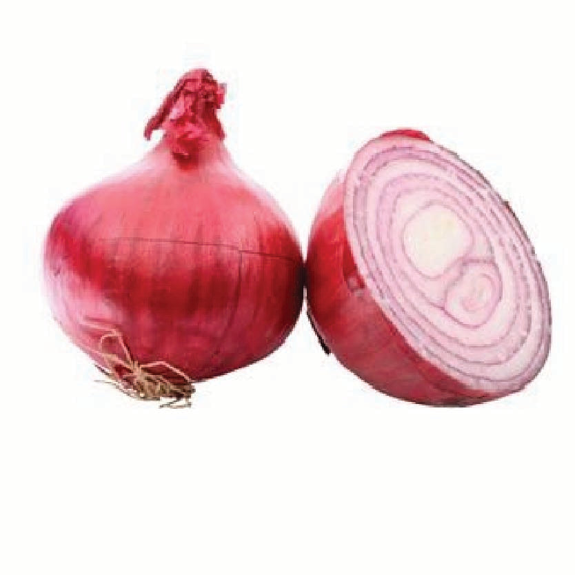 Organic Onion Red