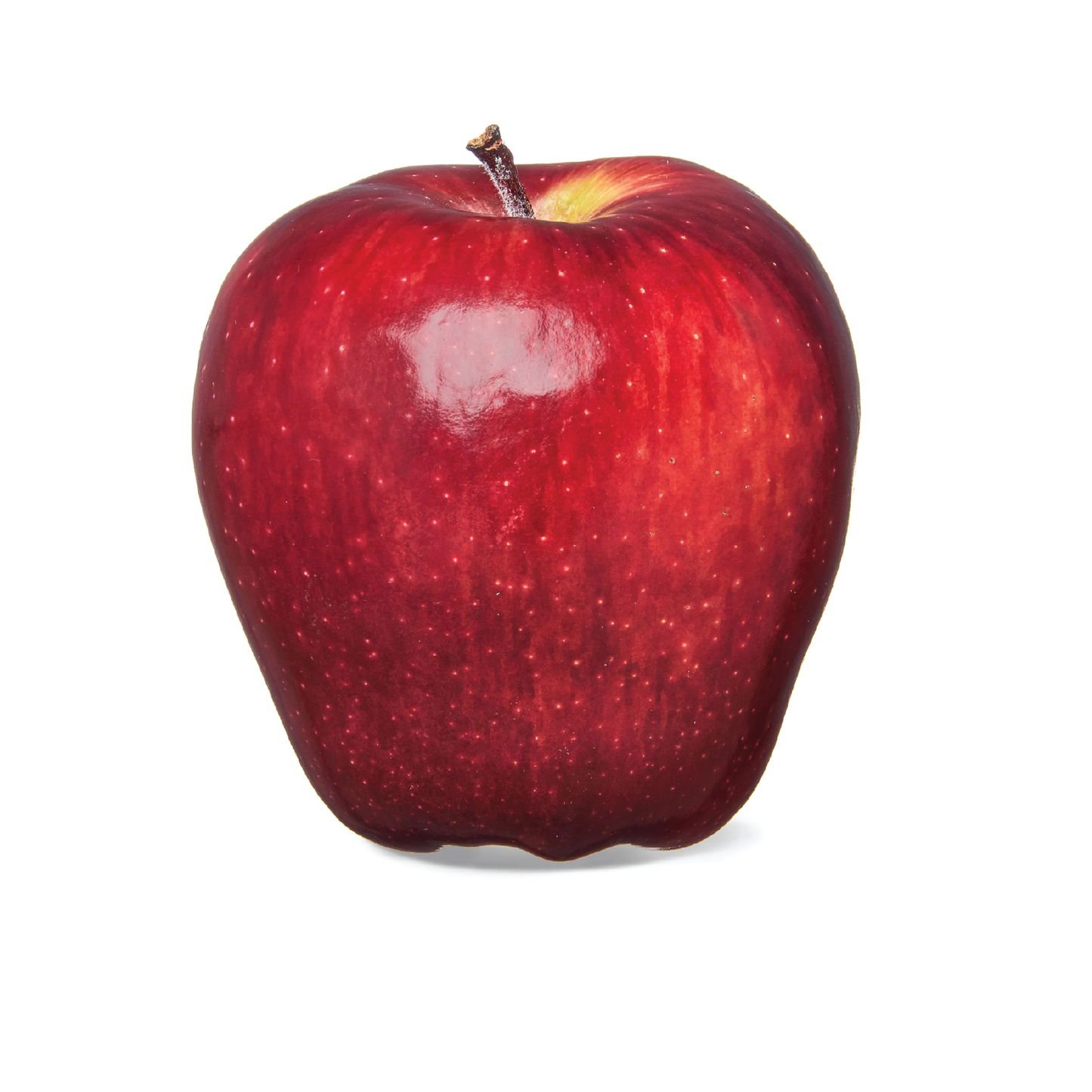 Organic Apple Red Delicious