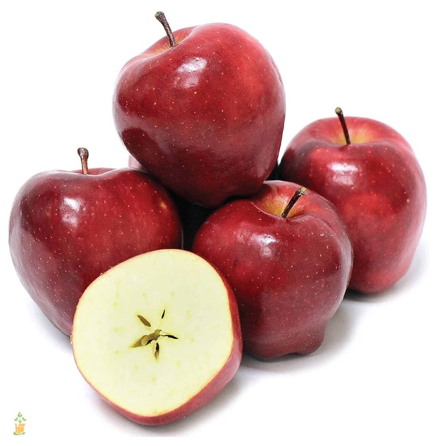 Organic Apple Red Delicious