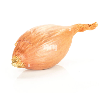 Organic Golden Shallot