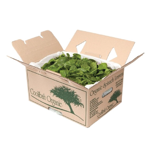 Organic Salad - Spinach Baby 1.5kg