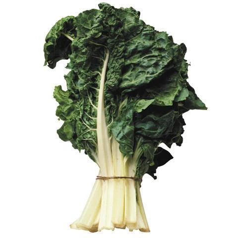 Organic Silverbeet Chard