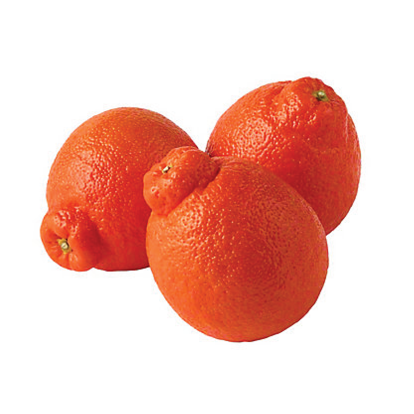 Organic Tangelo