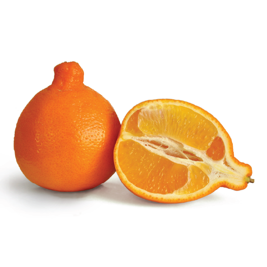Organic Tangelo